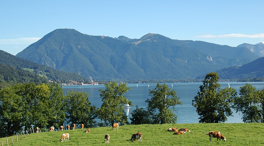 Ferienwohnungen Gabi Koeck Rottach-Egern am Tegernsee Anreise